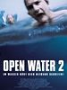 Poster der Open Water 2
