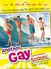 Poster der Another Gay Movie