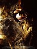 Poster der Seed