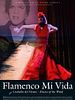 Poster der Flamenco Mi Vida