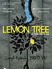 Poster der Lemon Tree