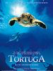 Poster der Tortuga - Die unglaubliche Reise der Meeresschildkröte