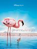 Poster der Das Geheimnis der Flamingos
