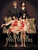 Poster der A Tale Of Two Sisters