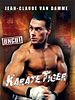 Poster der Karate Tiger