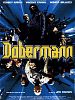 Poster der Dobermann