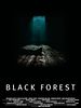 Poster der Black Forest