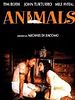 Poster der Animals