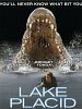 Poster der Lake Placid