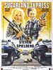 Poster der Sugarland Express