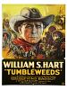 Poster der Tumbleweeds