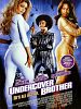 Poster der Undercover Brother