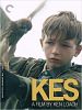 Poster der Kes