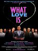 Poster der What Love Is