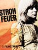 Poster der Strohfeuer