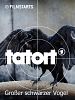 Poster der Tatort: Großer schwarzer Vogel