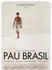 Poster der Pau Brasil