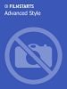 Poster der Advanced Style