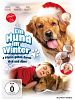 Poster der Ein Hund im Winter