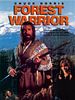 Poster der Action Warrior