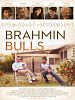 Poster der Brahmin Bulls