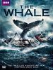 Poster der The Whale