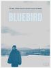 Poster der Bluebird