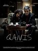 Poster der Qanis