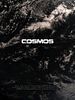 Poster der Cosmos