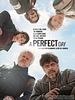 Poster der A Perfect Day