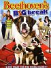 Poster der Beethovens großer Durchbruch