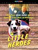 Poster der Little Heroes