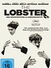 Poster der The Lobster - Eine unkonventionelle Liebesgeschichte