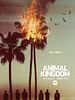 Poster der Animal Kingdom
