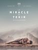 Poster der Miracolul din Tekir
