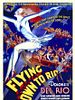 Poster der Flying Down to Rio