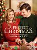 Poster der Ein perfektes Weihnachtsfest