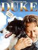 Poster der Duke