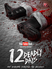 Poster der 12 Deadly Days