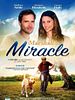 Poster der Marshall The Miracle Dog