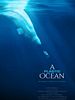 Poster der A Plastic Ocean