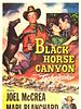 Poster der Black Horse Canyon