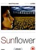 Poster der Sunflower