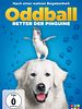 Poster der Oddball - Retter der Pinguine