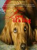Poster der For the Love of a Dog