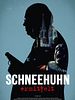 Poster der Schneehuhn ermittelt