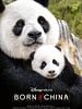 Poster der Born In China
