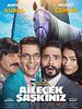 Poster der Ailecek Şaşkınız