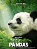 Poster der Pandas