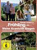 Poster der Frühling - Wenn Kraniche fliegen